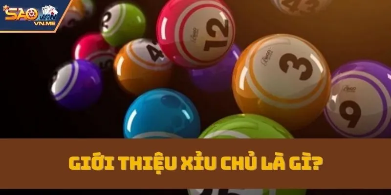 Một số nét quan trọng về xỉu chủ là gì